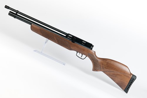 Gamo Coyote .25
